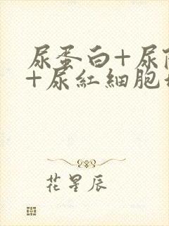 尿蛋白+尿隐血+尿红细胞增多