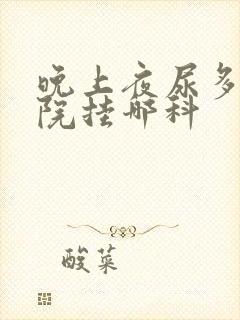 晚上夜尿多去医院挂哪科