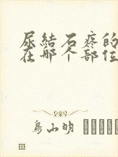 尿结石疼的症状在哪个部位