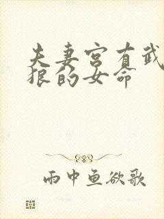 夫妻宫有武曲贪狼的女命