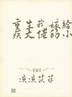 重生我嫁给了残疾大佬的小说