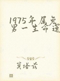 1975年属兔男一生命运怎么样