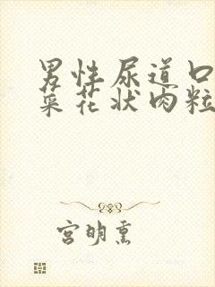 男性尿道口长出菜花状肉粒