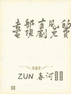 去那有风的地方电视剧免费观看