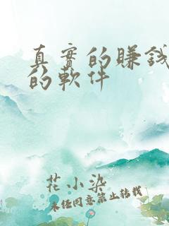 真实的赚钱最快的软件