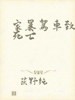 家暴驾车致丈夫死亡