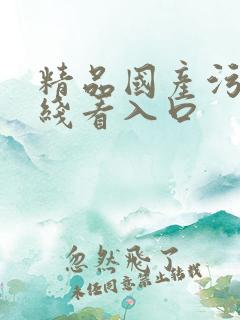 精品国产污网在线看入口