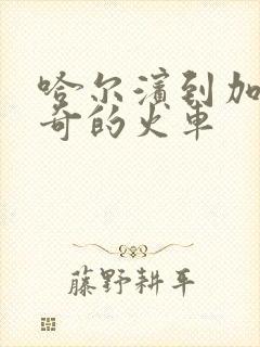 哈尔滨到加格达奇的火车