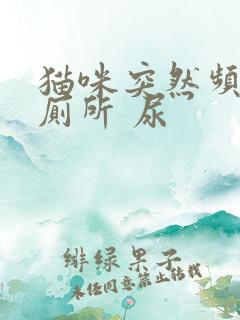 猫咪突然频繁上厕所 尿