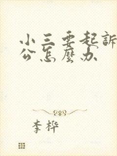 小三要起诉我老公怎么办