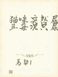 猫咪突然尿频而且每次只尿一点