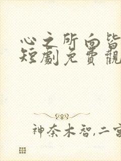 心之所向皆美好短剧免费观看