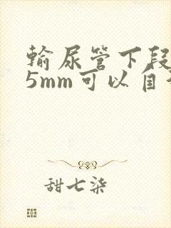 输尿管下段结石5mm可以自行排出吗