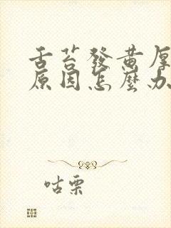 舌苔发黄厚什么原因怎么办