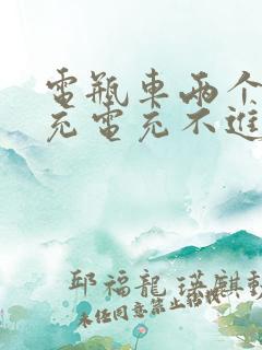 电瓶车两个月没充电充不进电怎么办