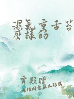 湿气重舌苔是怎么样的