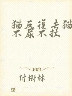 猫反复去猫砂盆不尿不拉