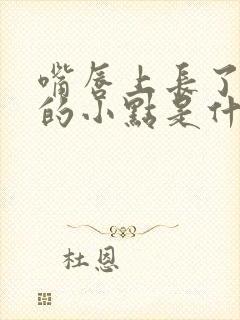 嘴唇上长了白色的小点是什么原因