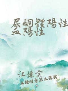 尿酮体阳性尿隐血阳性