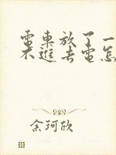 电车放了一年充不进去电怎么办