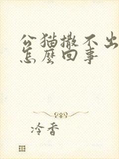 公猫撒不出尿是怎么回事