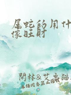 属蛇的用什么图像旺财