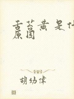 舌苔黄 是什么原因