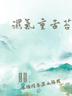 湿气重舌苔发白