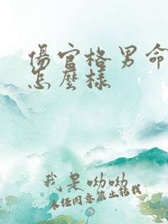 伤官格男命命运怎么样