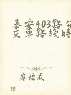 泰安403路公交车路线时间表查询