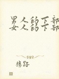 男人的下部插入女人的下部