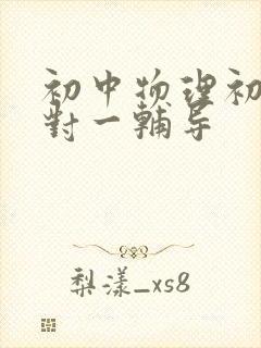 初中物理初二一对一辅导