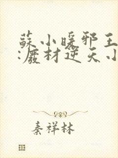 苏小暖邪王追妻:废材逆天小姐