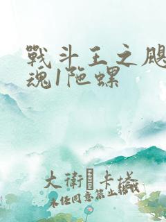 战斗王之飓风战魂1陀螺