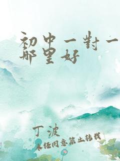 初中一对一辅导哪里好