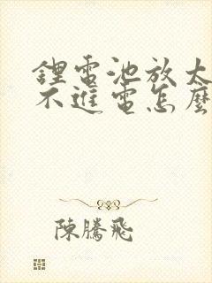 锂电池放太久充不进电怎么办