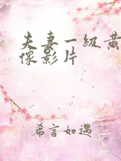 夫妻一级黄色录像影片