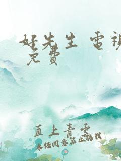 好先生 电视剧 免费