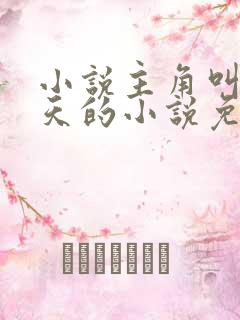 小说主角叫叶凌天的小说免费阅读