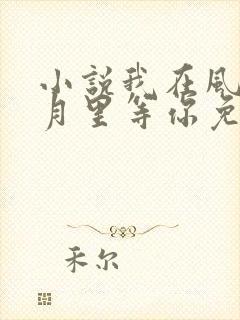 小说我在风花雪月里等你免费看