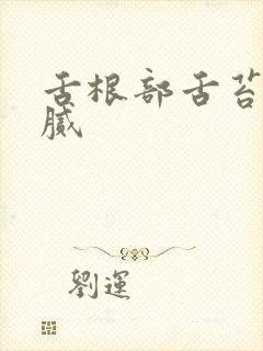 舌根部舌苔黄厚腻