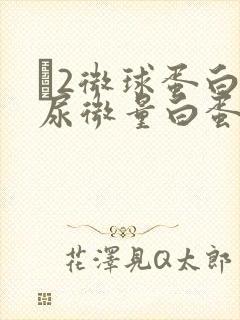 β2微球蛋白和尿微量白蛋白的区别