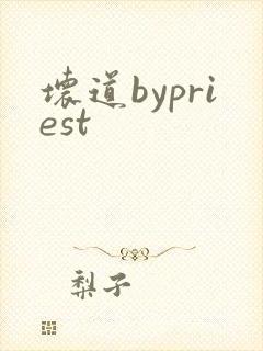 坏道bypriest