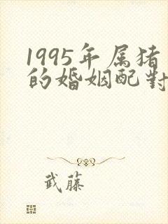 1995年属猪的婚姻配对最佳