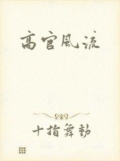 高官风流