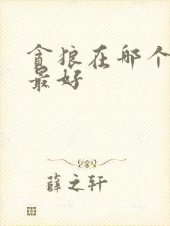 贪狼在哪个宫位最好