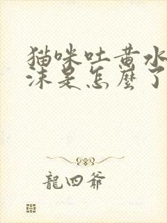 猫咪吐黄水带泡沫是怎么了