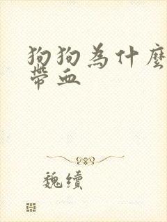 狗狗为什么尿里带血