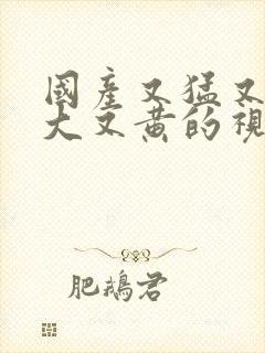 国产又猛又爽又大又黄的视频