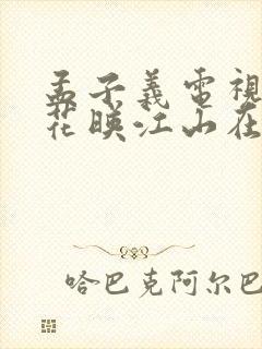 孟子义电视剧桃花映江山在线观看